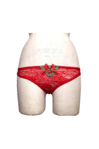 Roter Spitzen - Slip