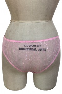 Rosa Spitzen - Slip