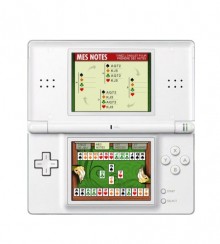 Bridge: Training - Nintendo DS