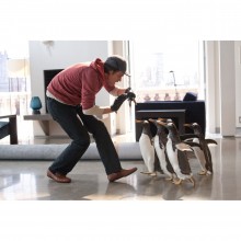 Mr. Poppers Pinguine - Blu Ray + DVD + Digital Copy