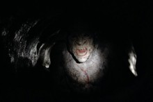 The Descent 2 (ungeschnittene Fassung) - Bluray