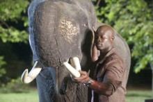 Elephant White - Bluray