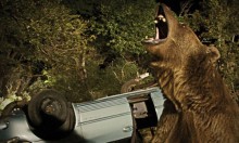 Bear- Stell dich tot - Blu Ray
