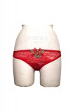 Roter Spitzen - Slip