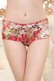 Spitzenpanty mit Blumenstickerei - Panty
