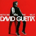 Nothing but the Beat - David Guetta